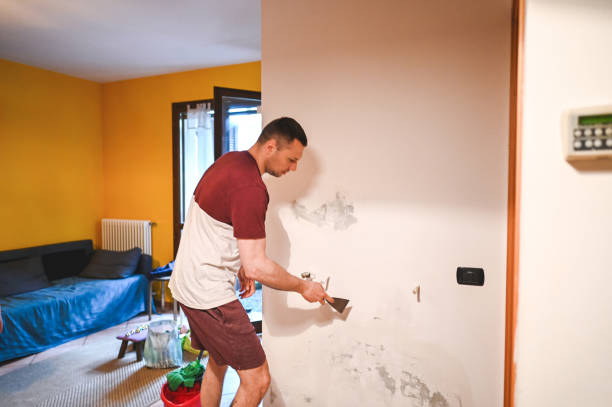 Best Office Mold Removal Services  in North Oaks, MN